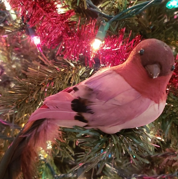 Meet your Posher, Angela - Picture 1 of 1